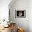 Jupiter's Moon Ganymede-null-Framed Photographic Print displayed on a wall