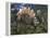 Jurassic Dinosaurs, Artwork-Walter Myers-Framed Premier Image Canvas