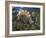 Jurassic Dinosaurs, Artwork-Walter Myers-Framed Photographic Print