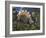 Jurassic Dinosaurs, Artwork-Walter Myers-Framed Photographic Print