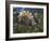 Jurassic Dinosaurs, Artwork-Walter Myers-Framed Photographic Print