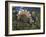 Jurassic Dinosaurs, Artwork-Walter Myers-Framed Photographic Print