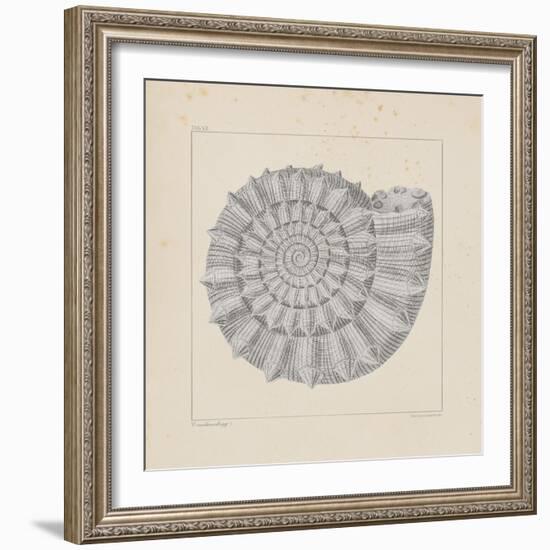 Jurassic I-A^ Poiteau-Framed Premium Giclee Print