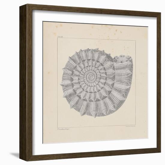 Jurassic I-A^ Poiteau-Framed Premium Giclee Print