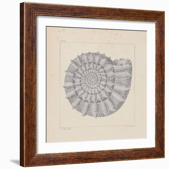 Jurassic I-A^ Poiteau-Framed Premium Giclee Print