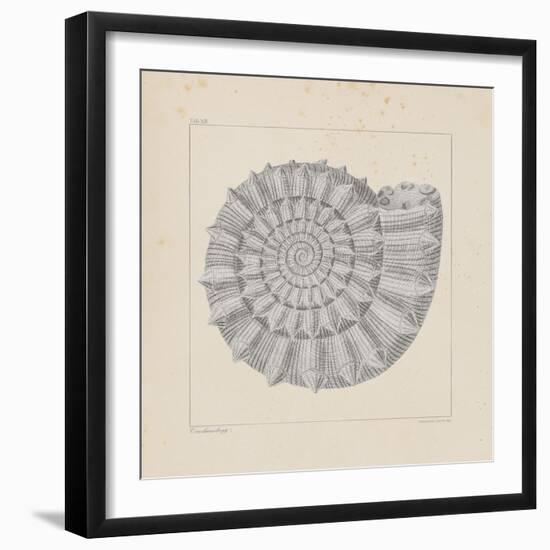 Jurassic I-A^ Poiteau-Framed Premium Giclee Print