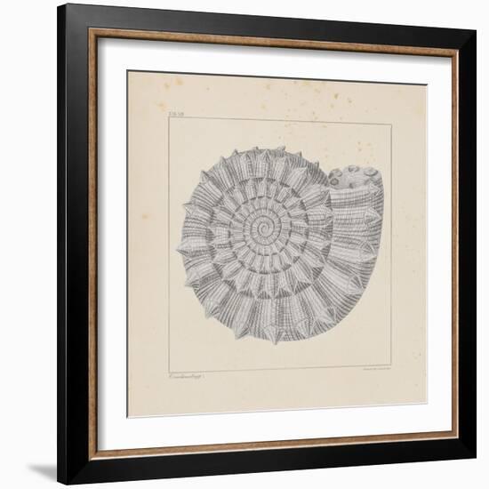 Jurassic I-A^ Poiteau-Framed Premium Giclee Print