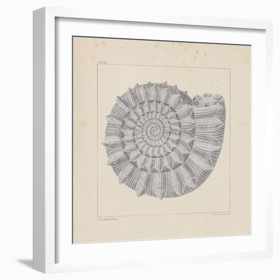 Jurassic I-A^ Poiteau-Framed Premium Giclee Print