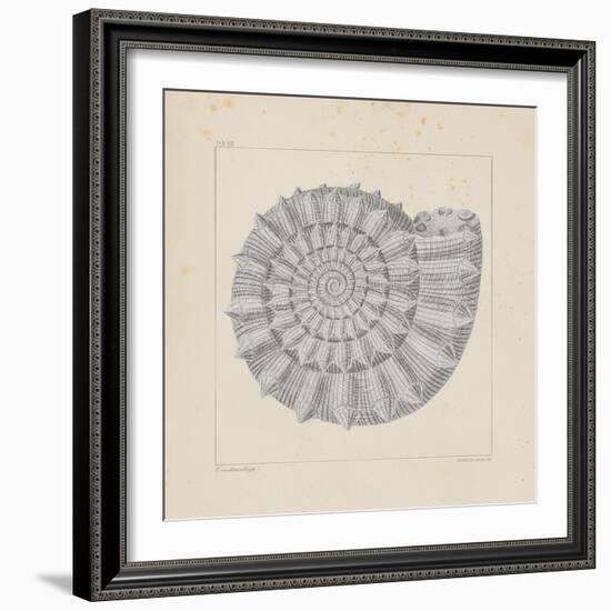 Jurassic I-A^ Poiteau-Framed Premium Giclee Print