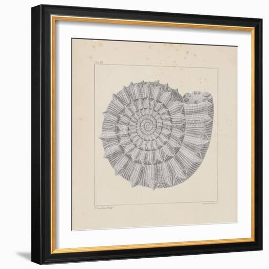 Jurassic I-A^ Poiteau-Framed Premium Giclee Print