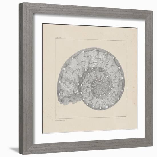 Jurassic II-A^ Poiteau-Framed Premium Giclee Print