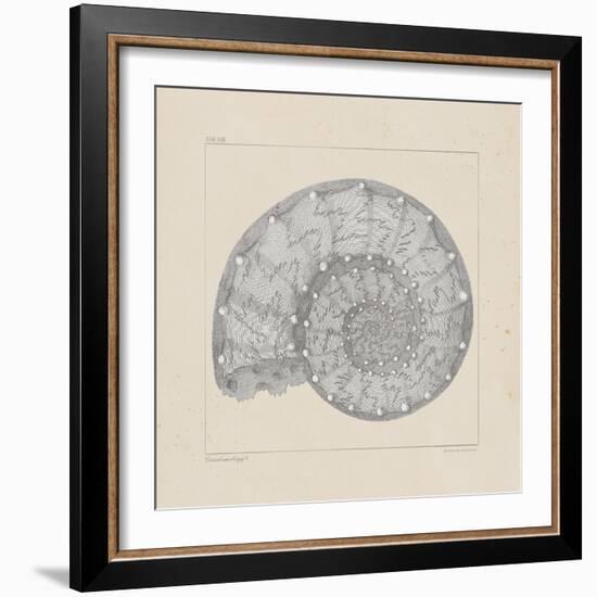 Jurassic II-A^ Poiteau-Framed Premium Giclee Print