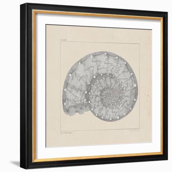 Jurassic II-A^ Poiteau-Framed Premium Giclee Print