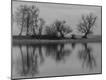Photographic Print