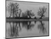 Photographic Print
