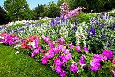 Pretty Manicured Flower Garden with Colorful Azaleas.-Juriah-Photographic Print