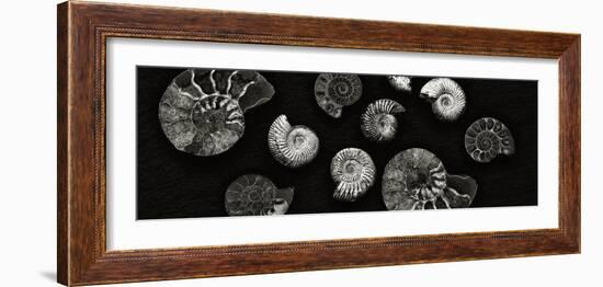 Jurrasic Spirals-Doug Chinnery-Framed Photographic Print