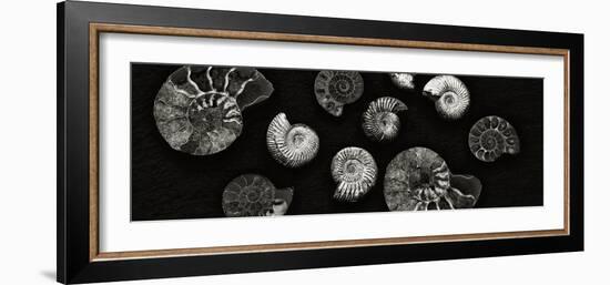 Jurrasic Spirals-Doug Chinnery-Framed Photographic Print