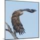 Premium Photographic Print