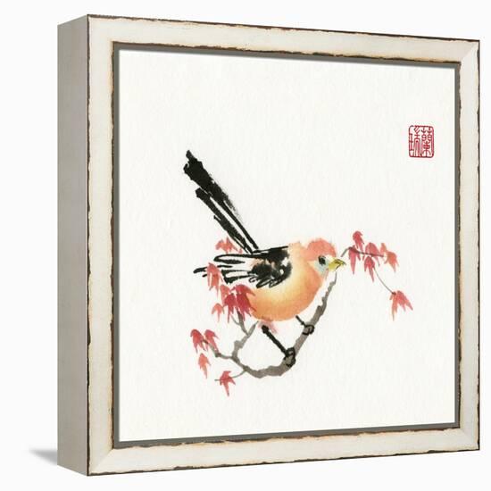 Just A Bird-Nan Rae-Framed Stretched Canvas