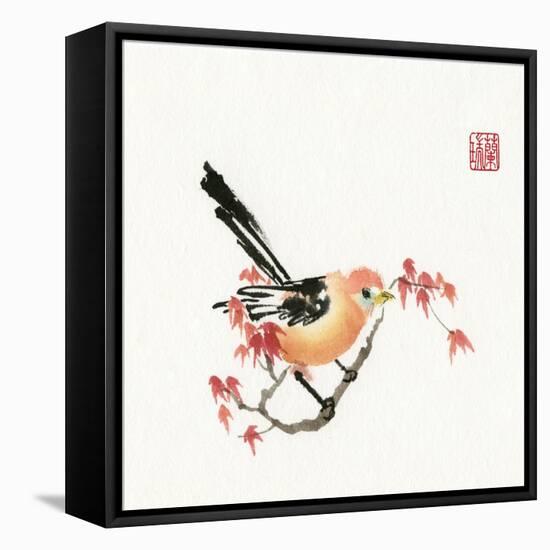 Just A Bird-Nan Rae-Framed Stretched Canvas