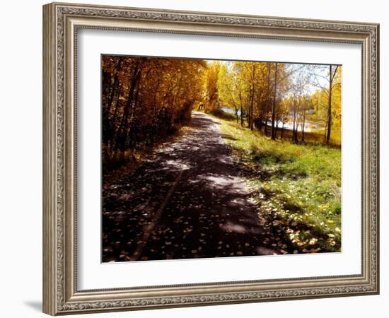 Just A Closer Walk-Ruth Palmer-Framed Art Print