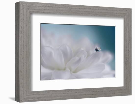 Just a drop-Heidi Westum-Framed Photographic Print