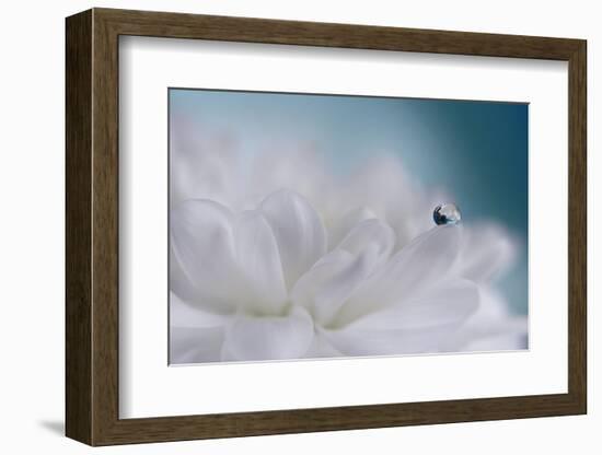 Just a drop-Heidi Westum-Framed Photographic Print