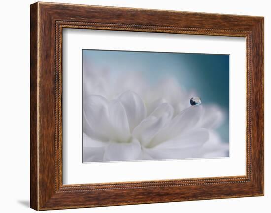 Just a drop-Heidi Westum-Framed Photographic Print