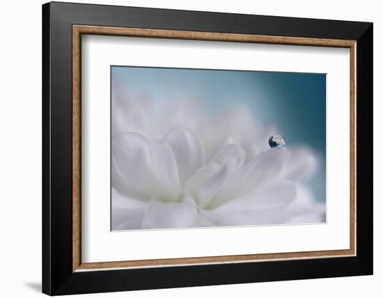 Just a drop-Heidi Westum-Framed Photographic Print