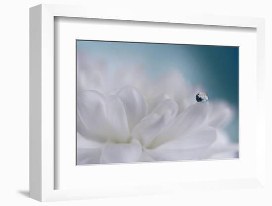 Just a drop-Heidi Westum-Framed Photographic Print