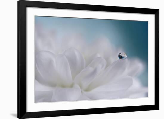 Just a drop-Heidi Westum-Framed Photographic Print