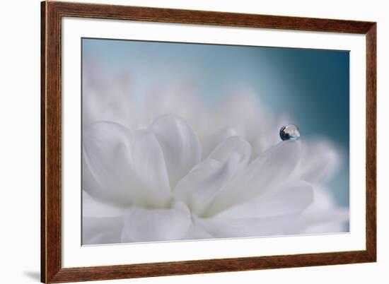 Just a drop-Heidi Westum-Framed Photographic Print