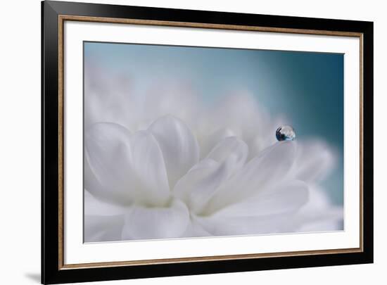 Just a drop-Heidi Westum-Framed Photographic Print