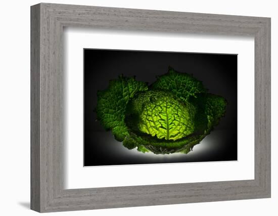 Just a green cabbage-Wieteke de Kogel-Framed Photographic Print