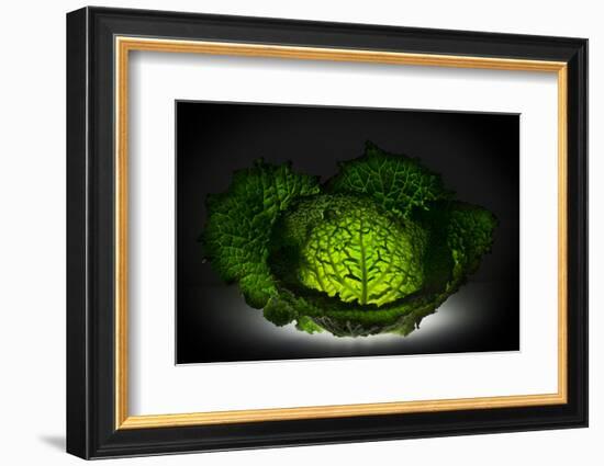 Just a green cabbage-Wieteke de Kogel-Framed Photographic Print