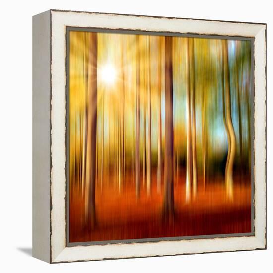 Just a Ripple-Philippe Sainte-Laudy-Framed Premier Image Canvas