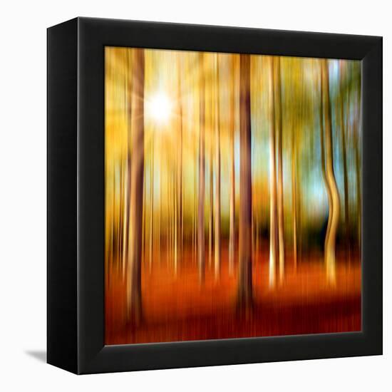 Just a Ripple-Philippe Sainte-Laudy-Framed Premier Image Canvas