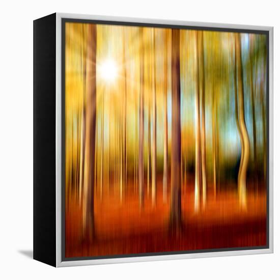 Just a Ripple-Philippe Sainte-Laudy-Framed Premier Image Canvas