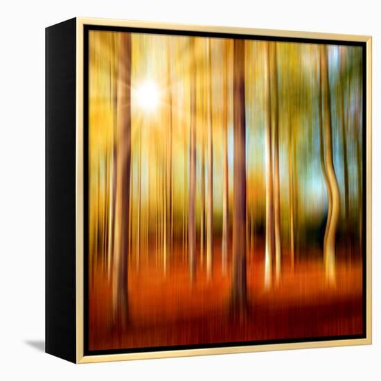 Just a Ripple-Philippe Sainte-Laudy-Framed Premier Image Canvas