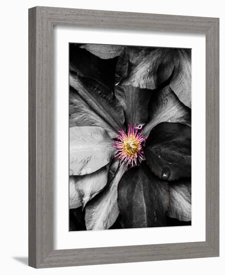 Just a Touch-Heidi Bannon-Framed Photo