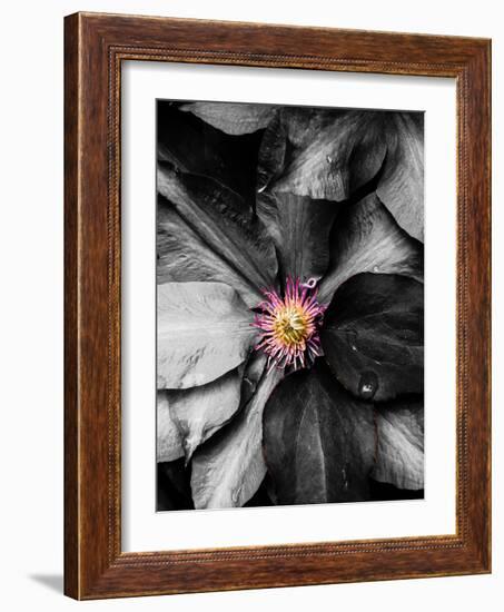 Just a Touch-Heidi Bannon-Framed Photo