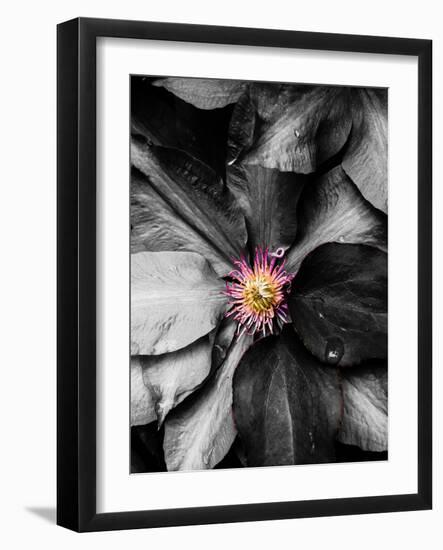 Just a Touch-Heidi Bannon-Framed Photo