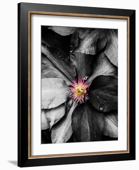 Just a Touch-Heidi Bannon-Framed Photo