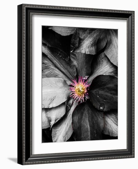 Just a Touch-Heidi Bannon-Framed Photo