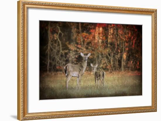 Just after Sunrise-Jai Johnson-Framed Giclee Print