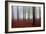 Just Awakened-Kristjan Rems-Framed Photographic Print