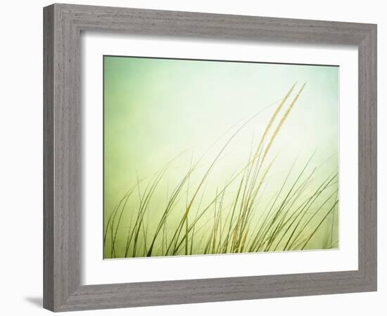 Just Breathe-Carolyn Cochrane-Framed Photographic Print