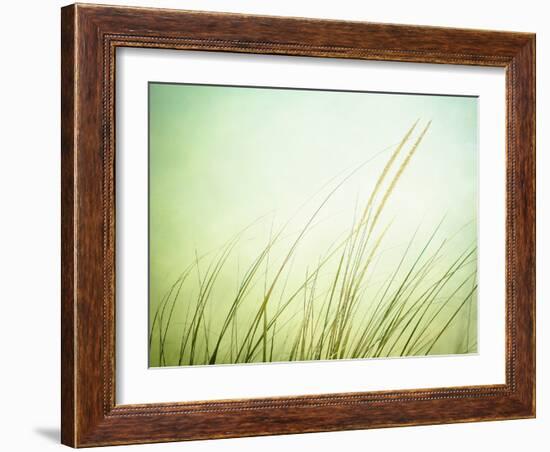 Just Breathe-Carolyn Cochrane-Framed Photographic Print