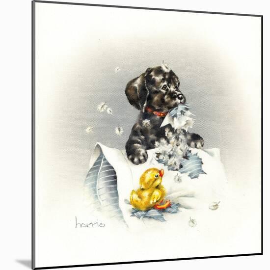 Just Ducky-Peggy Harris-Mounted Giclee Print